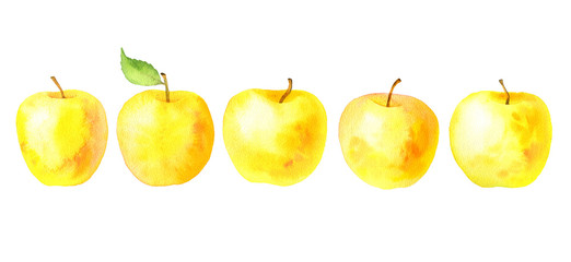 watercolor drawing yellow apples