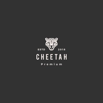 panther cheetah head logo vector icon illustration