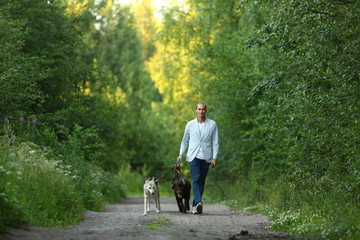 Obraz premium A man with two dogs walking on a sunny meadow