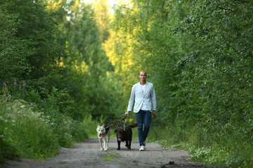 Fototapeta premium A man with two dogs walking on a sunny meadow