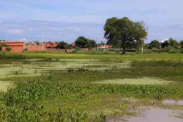 landscape with lake and village