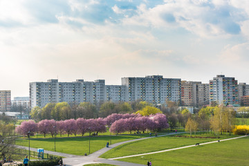 Wiosna w mieście Opole wiosna w parku