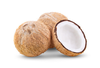 coconut isolated on white background. full depth of field