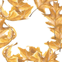Fototapeta premium Drawn autumn leaves frame