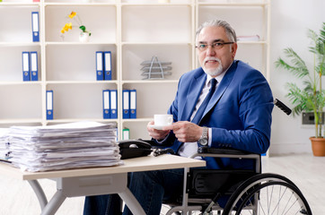 Aged employee in wheelchair working in the office 