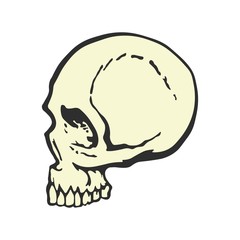 Human skull in profile. Cartoon style. Side view. Template graphic design for t-shirt. Creative design.