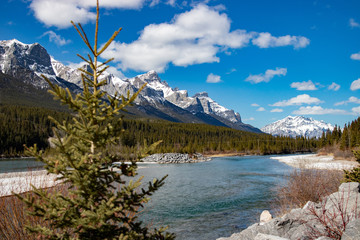 Bow river and mountain scene canmore ab