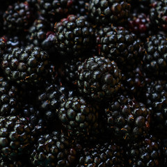 Background made of blackberries