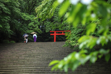 雨の霧島神宮