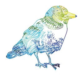 Bird of the jackdaw. Meditation, coloring of the mandala. The bird is in full growth. Many feathers, patterns. A sweet little bird. Drawing manually, templates. Strips, points, arrows.