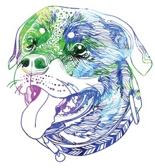 The head of a dog. The Rottweiler smiles. Meditation, coloring of the mandala. Dog in the collar. Ethnic. Drawing manually, templates. Strips, points, arrows. Spots of watercolor paint, spray.