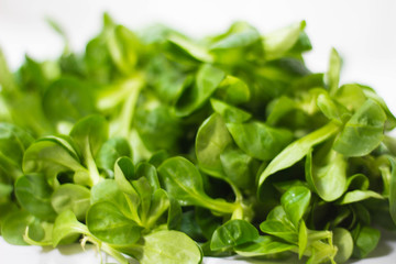 lechuga verde y fresca en un fondo blanco