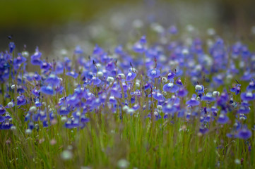 Naklejka premium untitled photos 