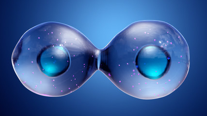 Cell Division or Cloning Cells