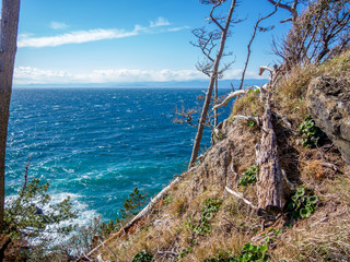 【伊豆半島ジオパーク】西伊豆黄金崎風景の風景【春】