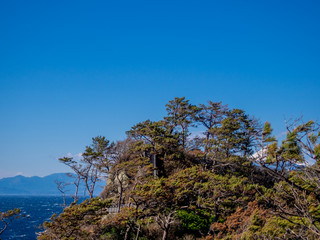 Fototapeta na wymiar 【伊豆半島ジオパーク】西伊豆黄金崎から見る富士山【春】