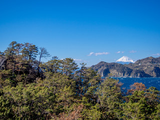 Obraz premium 【伊豆半島ジオパーク】西伊豆黄金崎から見る富士山【春】