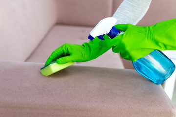 Housewife in rubber gloves cleaning and washing sofa with rag and spray in room at home. Household chores. Clean house, cleanliness.