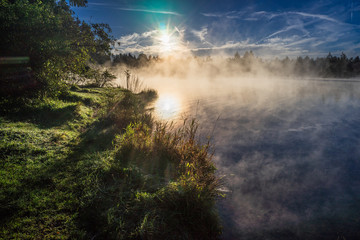 Fototapeta na wymiar mystischer, romantischer Sonnenaufgang an einem See, Biotop mit Nebel und spiegelnder Sonne ( D, Bayern, Augsburg, Lechauen)