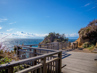 Obraz premium 【伊豆半島ジオパーク】春の黄金崎【展望台】