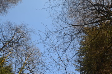 Looking up