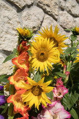 Blooming sunflowers and colorful gladioli against the background of a limestone wall