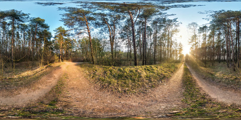 full spherical hdri panorama 360 degrees angle view on gravel pedestrian footpath and bicycle lane path in pinery forest in sunny spring evening in equirectangular projection. VR AR content