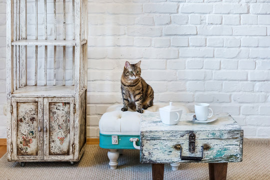 table, chairs, shelves on the background of a white brick wall in vintage loft interior with cat