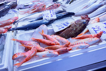 Variety of sea fishes on the counter in a greek fish shop. Concept- healthy food, fresh seafood.