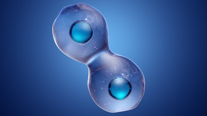 Cell Division or Cloning Cells