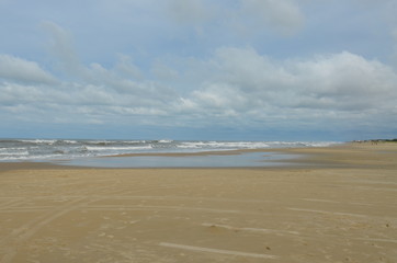 my friends on the beach
