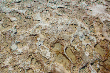 stone texture