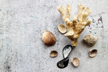 Fototapeta na wymiar Branch of white coral with sea shells on a sand background wallpaper