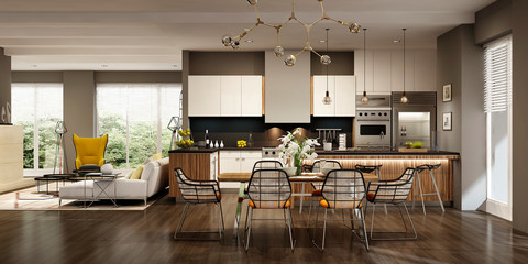Modern kitchen interior