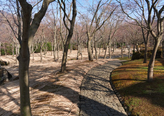 庭園