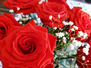 A bouquet of red roses close up