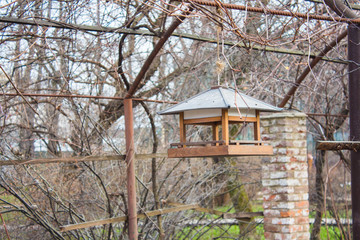 wooden bird feeder in the forest