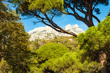 Russia, Crimea, Alupka 03 November 2018: View of AI-Petri Mountain from Vorontsov Palace Upper Park.