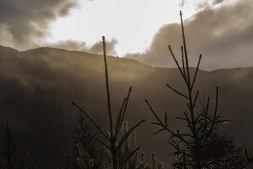 Hiking in the nature of Norway