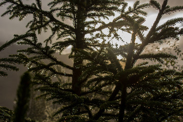 Hiking in the nature of Norway