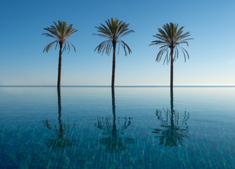 Infinity Pool at the Sea