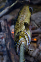 Hiking in the nature of Norway