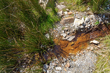 Source in the mountains of Snowdonia.