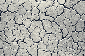 Cracked soil patterns. Abstract background texture