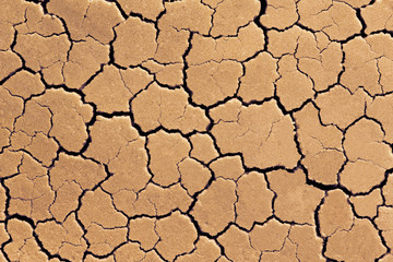 Cracked soil patterns. Abstract background texture