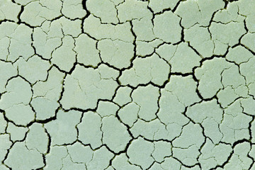 Cracked soil patterns. Abstract background texture