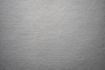white canvas texture. background fabric