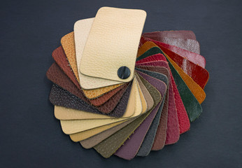 fan catalog with colored leather samples