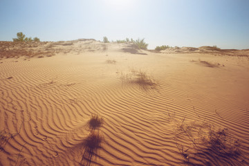 hot summer sandy desert under a sparkle sun