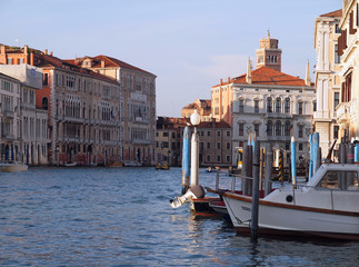 Fototapeta na wymiar Shipping over Canale Grande, beautiful architecture and Gondolas in Venice